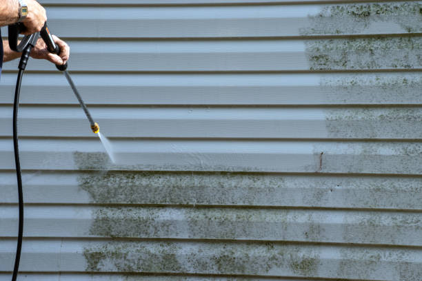 Best Appliance Removal  in Aquebogue, NY